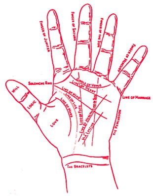 Palmistry : www.shailendrapandey.com